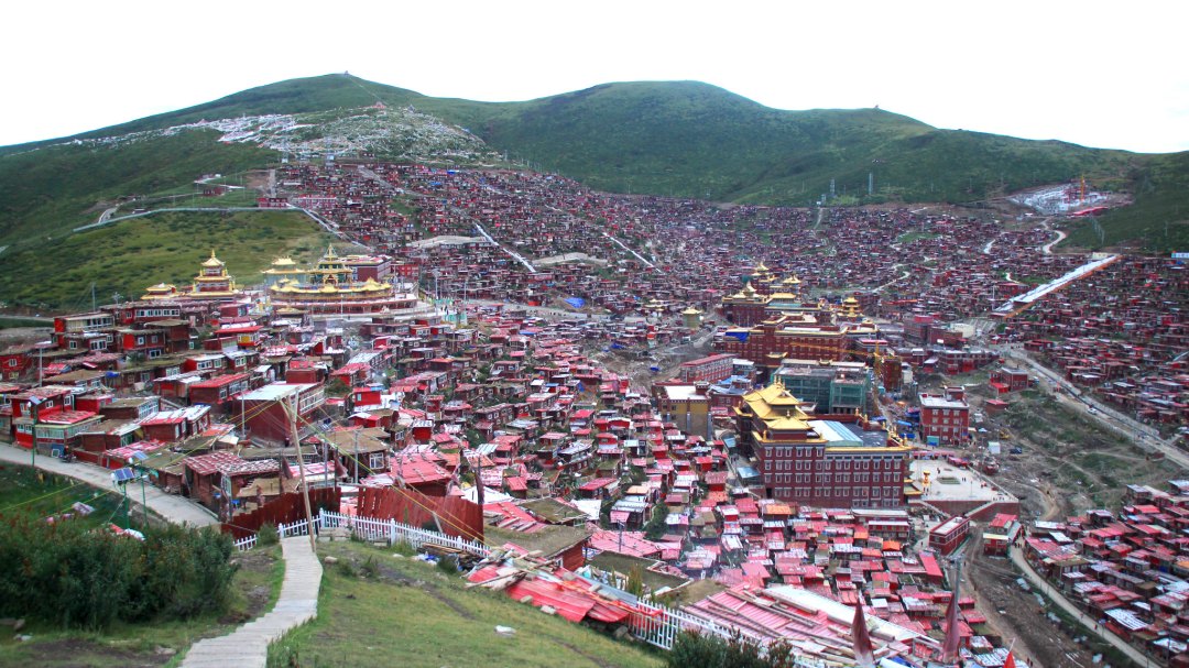 【色達遊記】在山上抖順氣，才能細心欣賞這美景——金色屋頂的大經堂坐落在山谷中間，一旁是正在修建的巨型經輪，周圍密密麻麻的，是紅色木板搭建的僧侶宿舍。（勞顯亮攝）